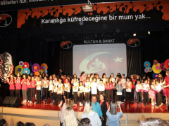Evrensel Kolej